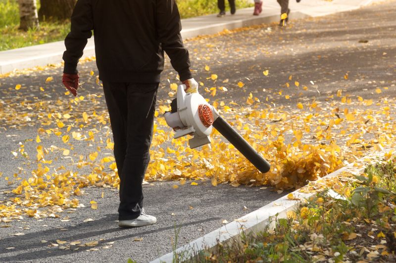 Commercial Leaf Removal detail