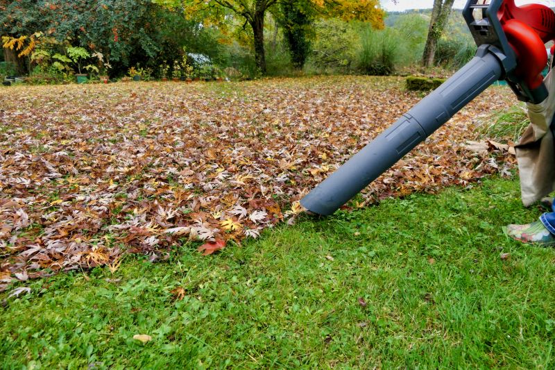 Mulching and Leaf Blowers