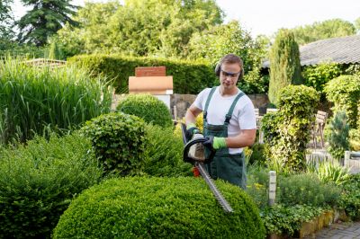 Tree and Shrub Care Services
