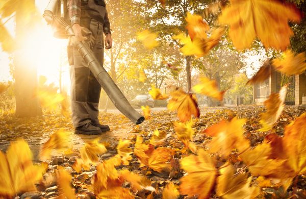 Leaf Blowing Service in Arroyo Grande