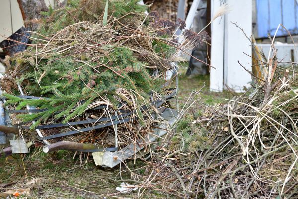 Yard Debris Removal in Arroyo Grande