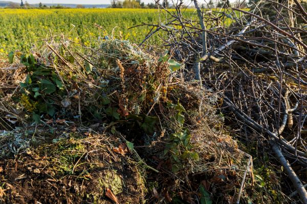 Brush Disposal in Arroyo Grande