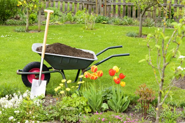 Cost of Spring Yard Cleanup in Arroyo Grande