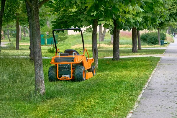 Landscaping Cleanup Service in Arroyo Grande