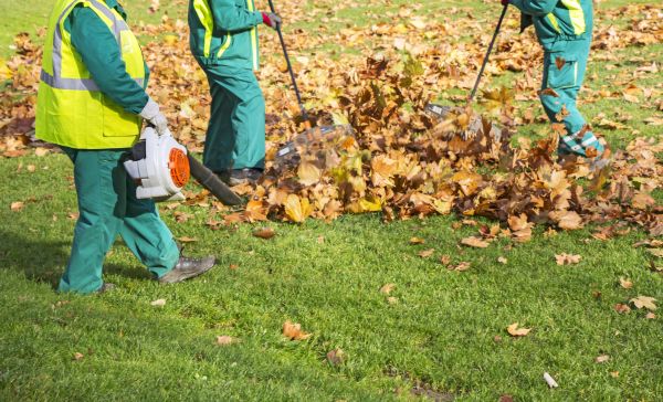 Cost of Leaf Maintenance in Arroyo Grande