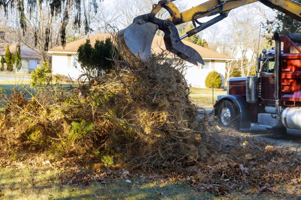 Storm Debris Removal in Arroyo Grande