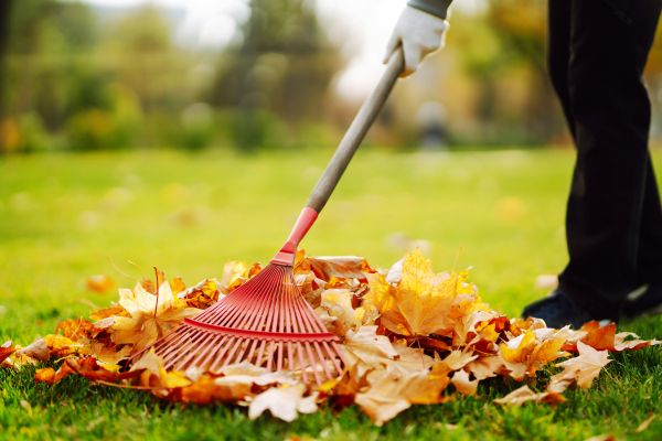 Cost of Ditch Leaf Removal in Arroyo Grande