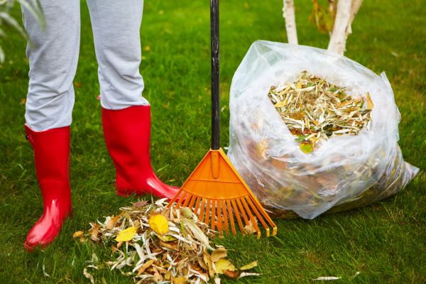 Cost of Leaf Disposal Service in Arroyo Grande