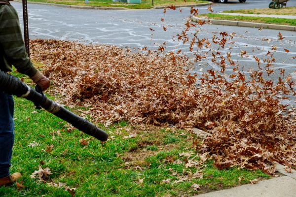 Cost of Garden Leaf Removal in Arroyo Grande