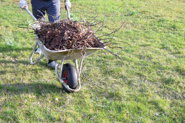 Yard Brush Removal in Arroyo Grande