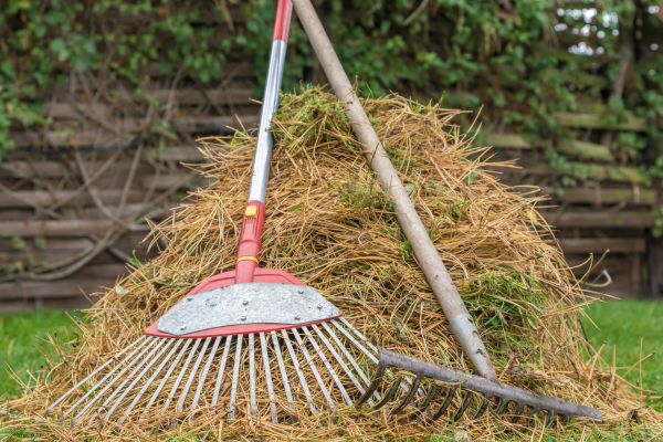 Cost of Pine Straw Clearing in Arroyo Grande