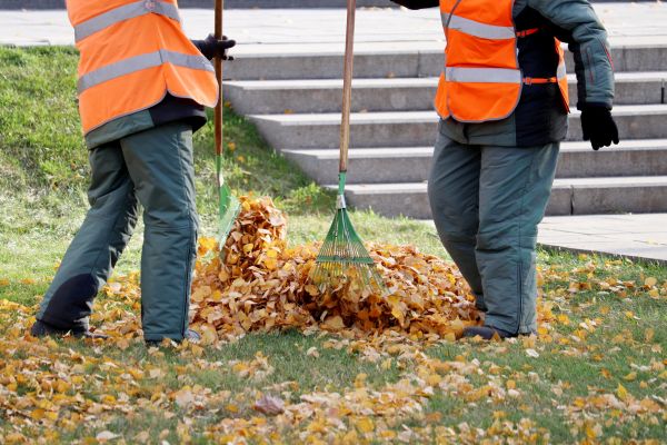 Cost of Leaf Hauling Service in Arroyo Grande