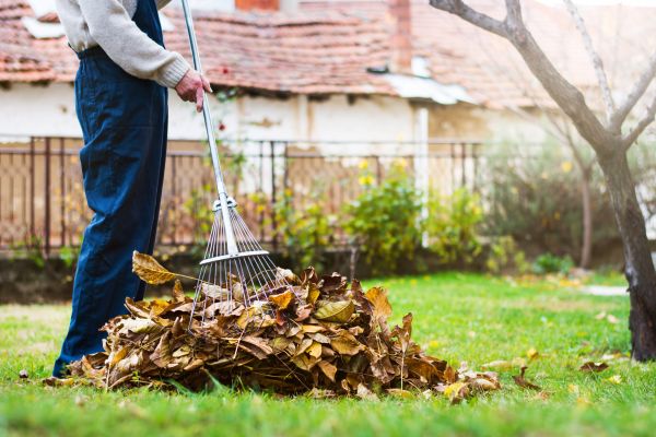 Spring Lawn Cleanup in Arroyo Grande