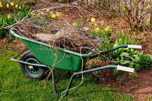 Lawn Waste Removal in Arroyo Grande