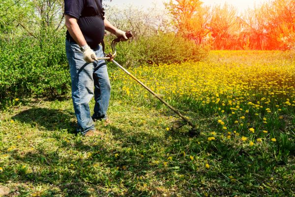 Cost of Yard Clearing Service in Arroyo Grande