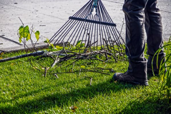 Yard Debris Cleanup in Arroyo Grande