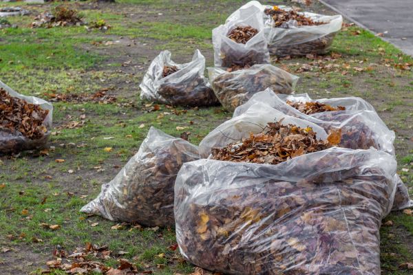 Leaf Pile Disposal in Arroyo Grande